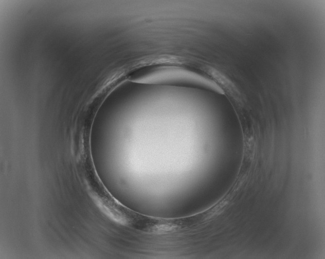 X0000081430158200701121311