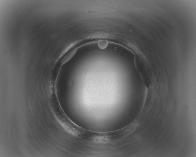 X0000081430160200701121311
