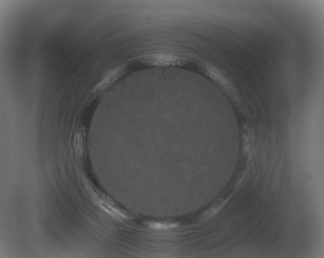 X0000081430165200701121311