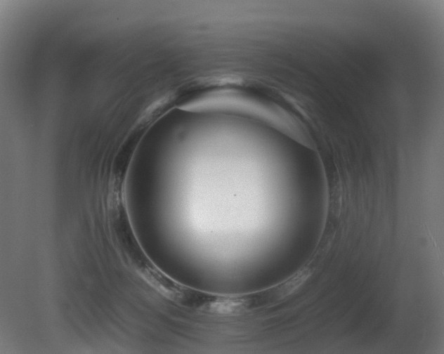 X0000081430172200701121311