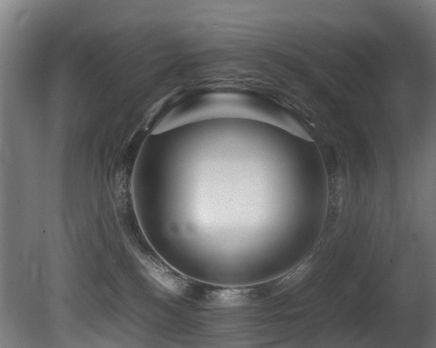 X0000081430184200701121311