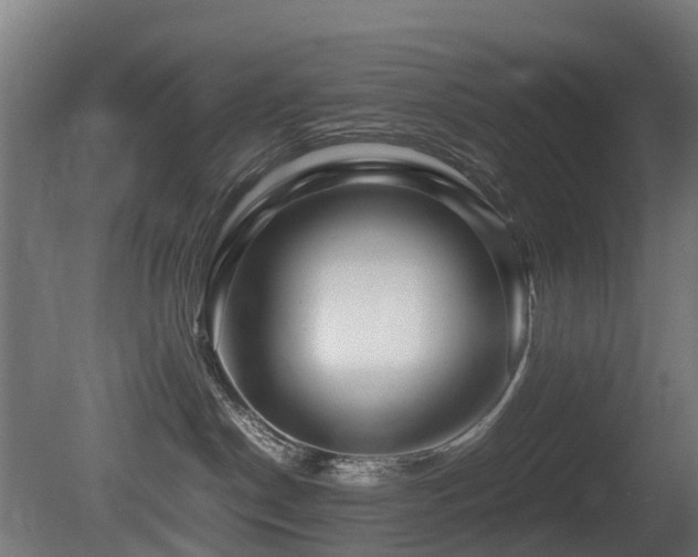 X0000081430190200701121312