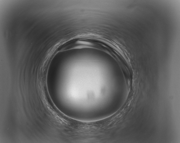 X0000081430193200701121311