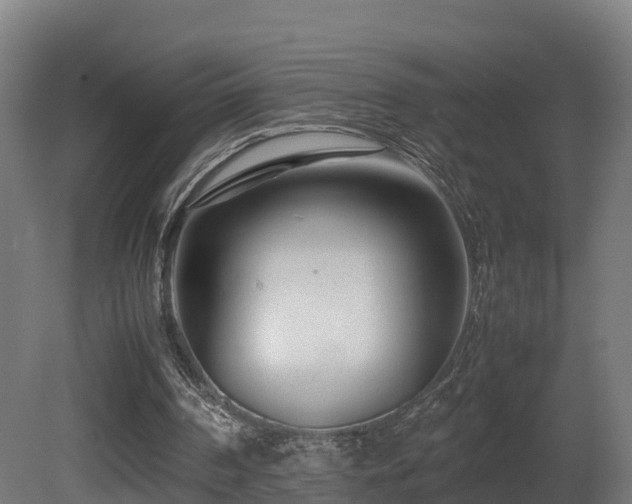 X0000081430194200701121311