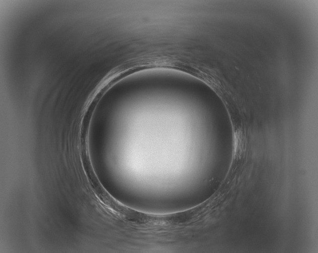 X0000081430195200701121311