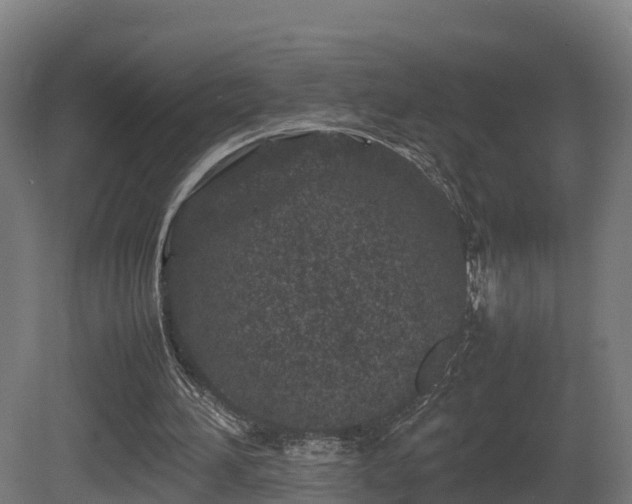 X0000081430196200701121311