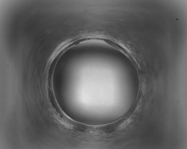 X0000081430199200701121311