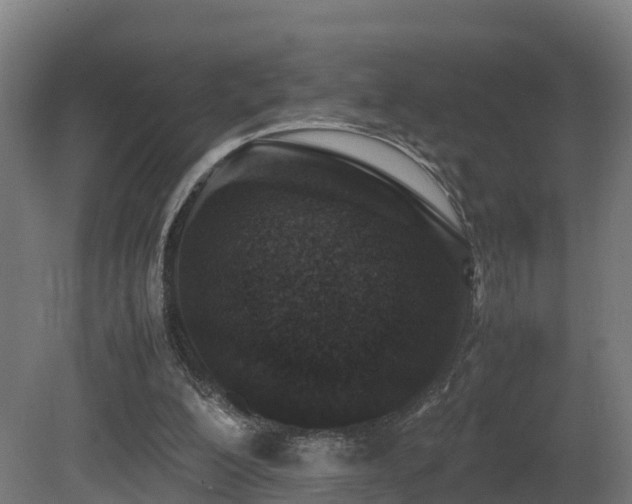 X0000081430200200701121311