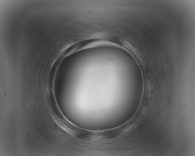 X0000081430203200701121311
