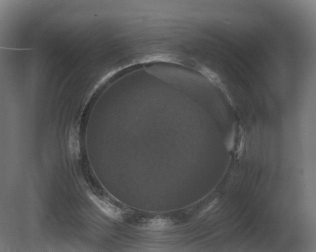 X0000081430204200701121311
