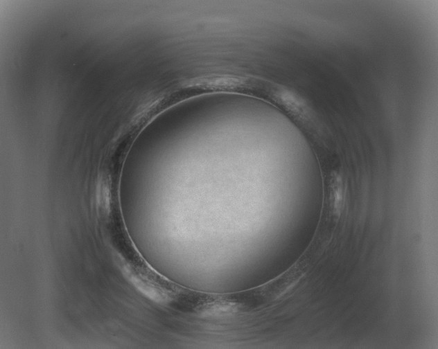 X0000081430206200701121311