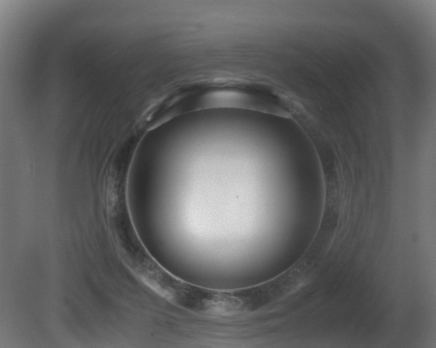 X0000081430215200701121310