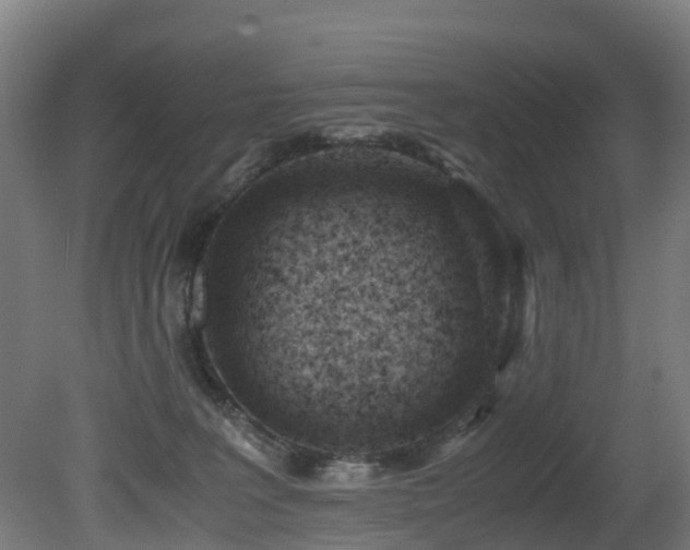 X0000081430227200701121310