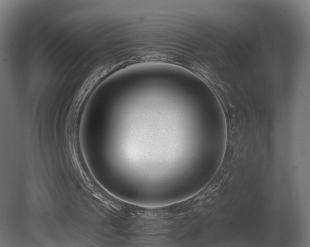 X0000081430241200701121309