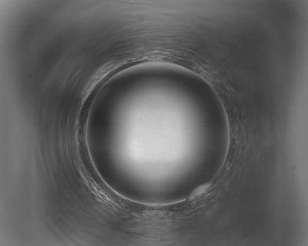 X0000081430242200701121309