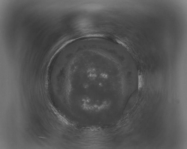 X0000081430243200701121309