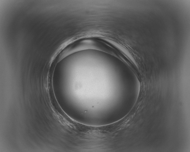 X0000081430244200701121309