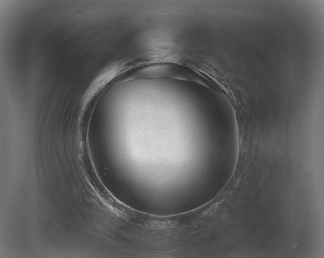 X0000081430245200701121309