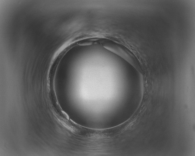 X0000081430246200701121309