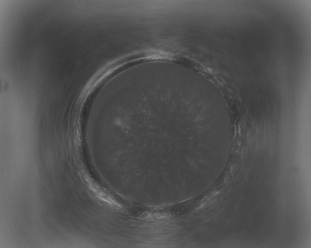 X0000081430247200701121309