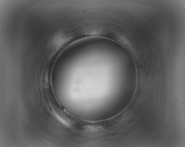 X0000081430251200701121309