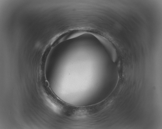 X0000081430252200701121309
