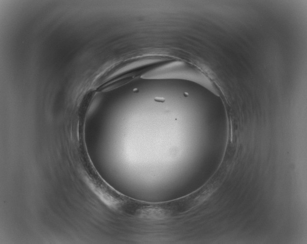 X0000081430253200701121309