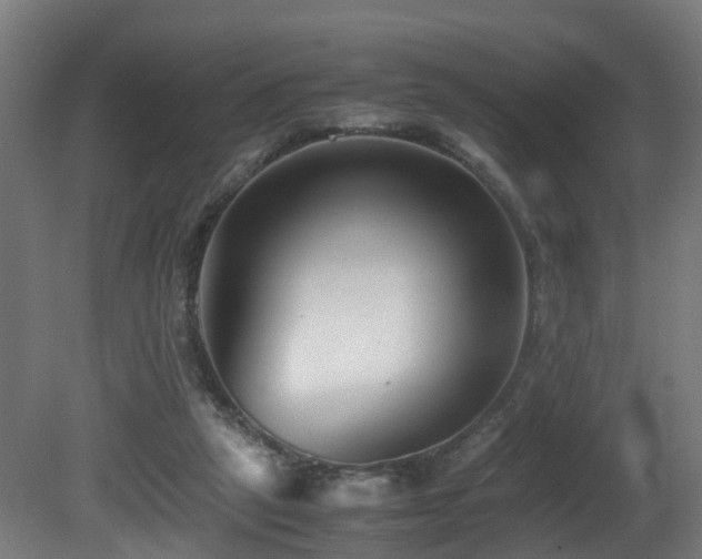 X0000081430257200701121309