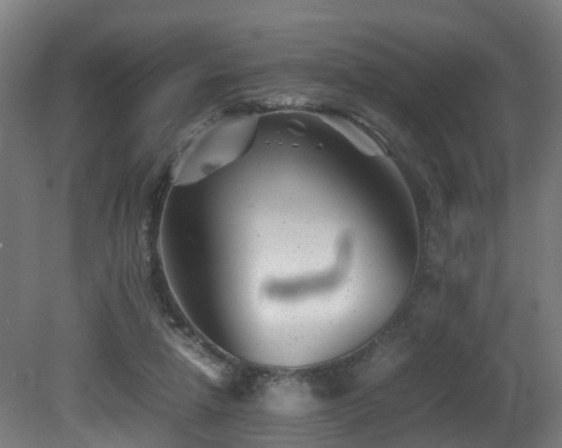 X0000081430258200701121309