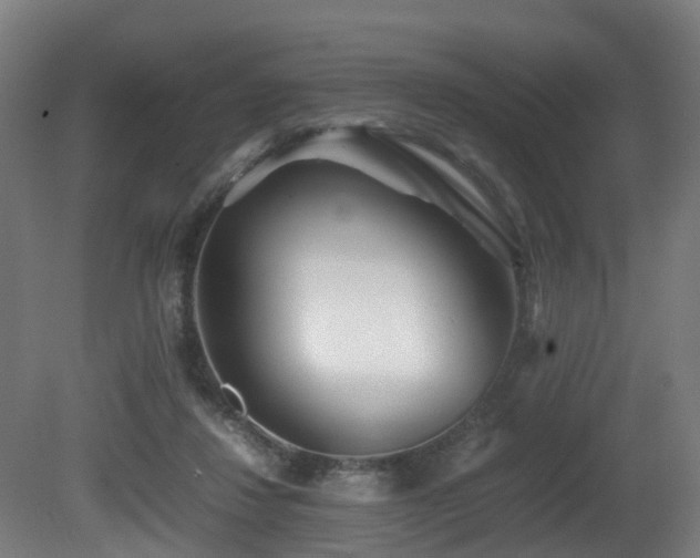 X0000081430260200701121309