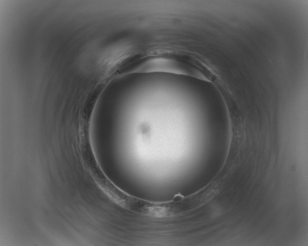 X0000081430265200701121310