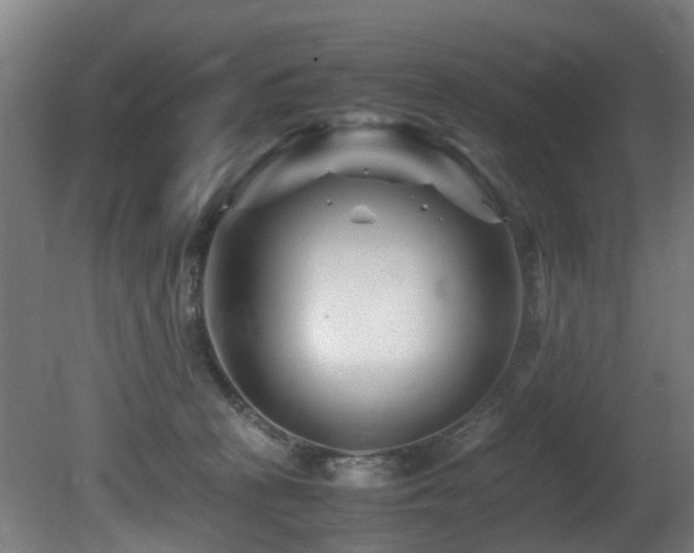 X0000081430273200701121310