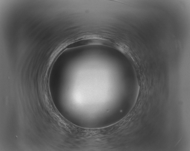 X0000081430289200701121309