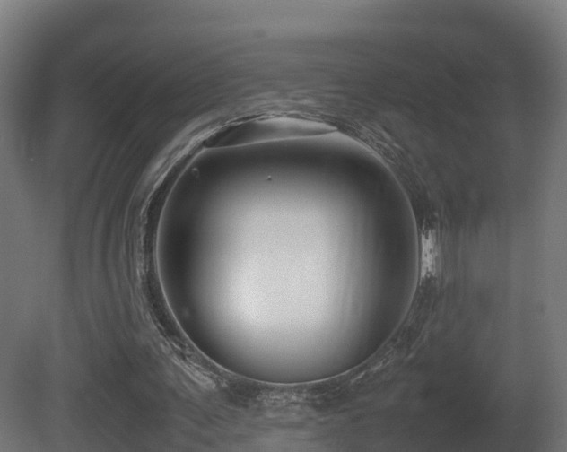 X0000081430291200701121309