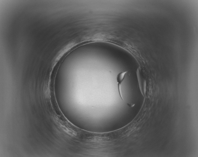 X0000081430292200701121309