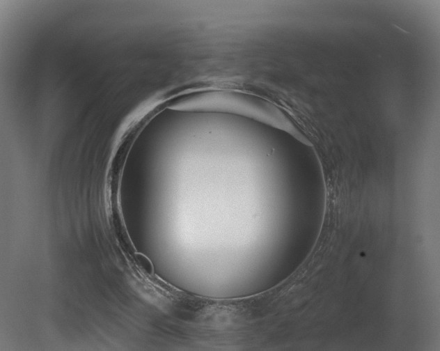 X0000081430294200701121309