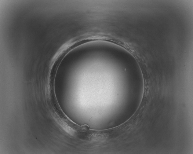X0000081430296200701121309