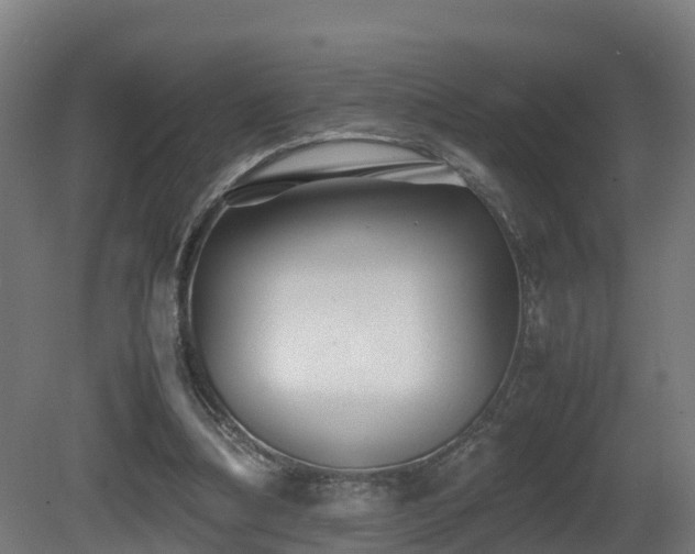 X0000081430298200701121309