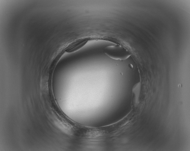 X0000081430299200701121309