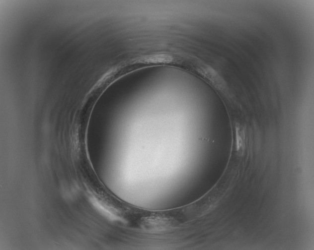 X0000081430300200701121309
