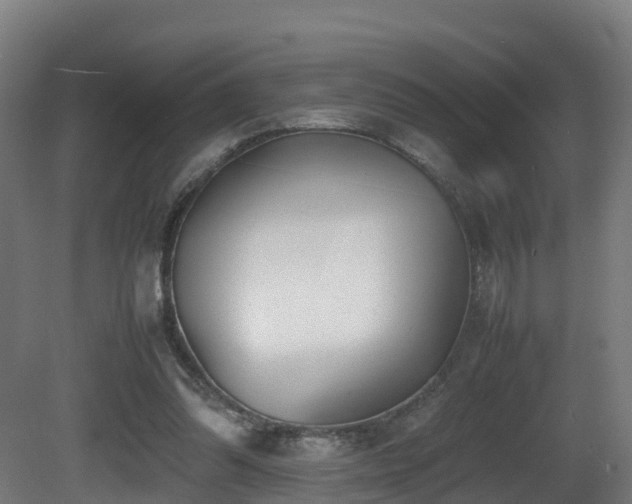 X0000081430302200701121309