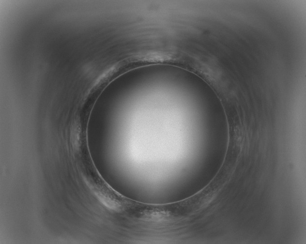 X0000081430304200701121309
