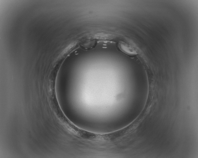 X0000081430305200701121309