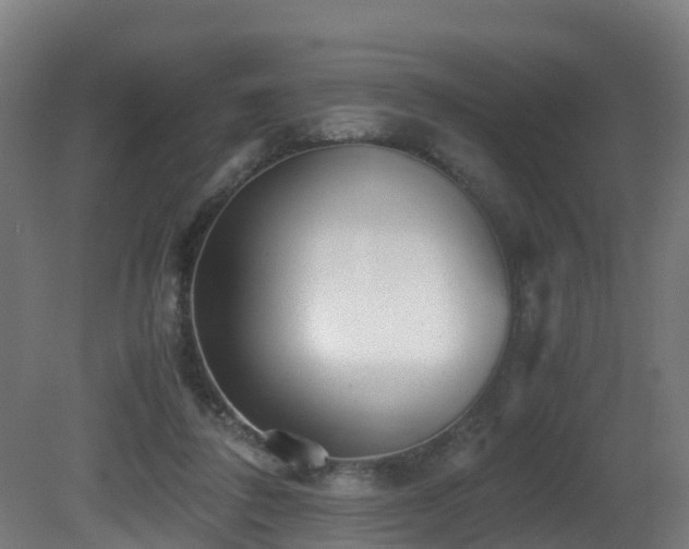 X0000081430308200701121309