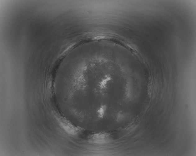 X0000081430314200701121309