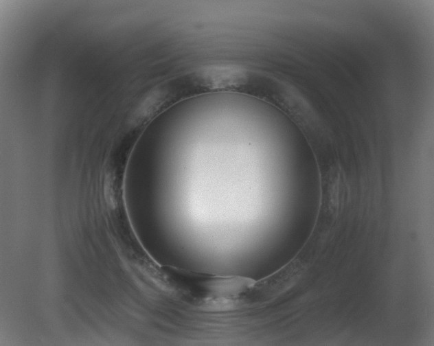 X0000081430316200701121309