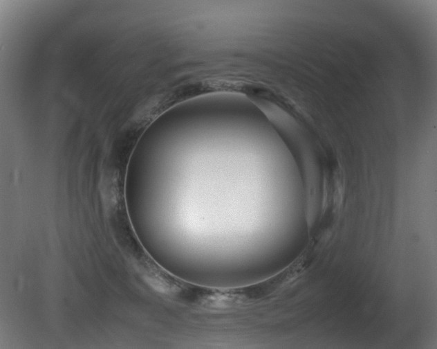 X0000081430323200701121309