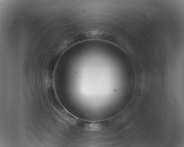X0000081430324200701121309