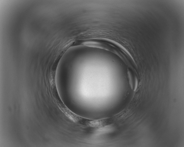X0000081430335200701121308