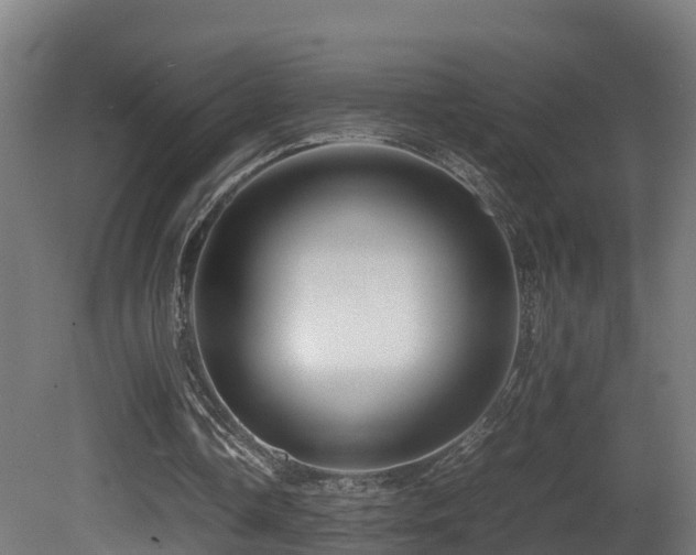 X0000081430338200701121308